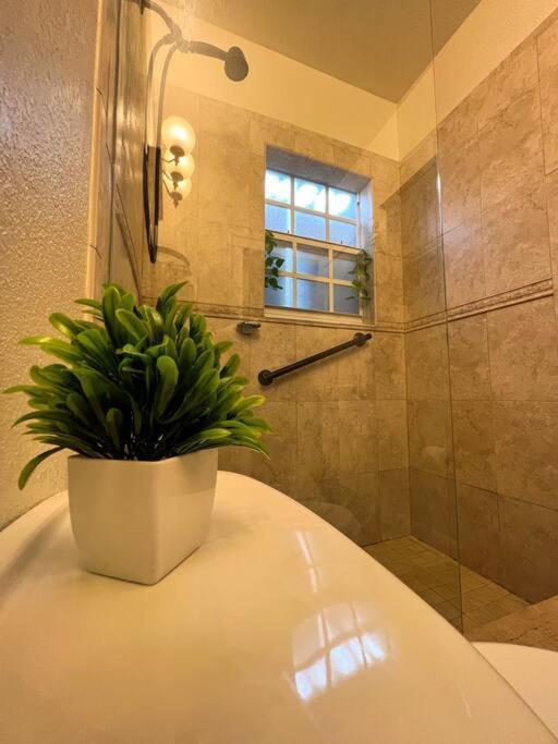Cozy 1-Bedroom Rental In Miami Zewnętrze zdjęcie